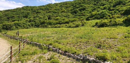 [꾸미기]군사시설 철거 후 산림복원된 광경 (1).jpg
