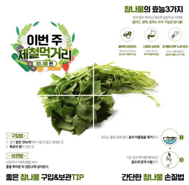 [꾸미기]참나물 [출처- 한국농수산식품유통공사 공식 블로그].jpg