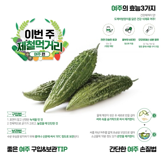 [꾸미기]여주 [출처- 한국농수산식품유통공사 공식 블로그].jpg